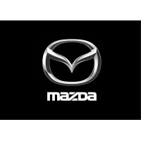 DIPeM doo logo - Similar company to Beoauto