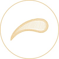 PSLY logo - Similar company to Highrise Safety Systems