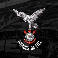 Grêmio Gaviões da Fiel Torcida logo - Similar company to Race Cup