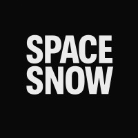 Space Snow Design logo - Similar company to Bizben