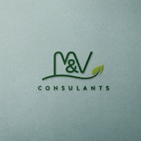 THE MV CONSULTANTS logo - Similar company to Global It Star