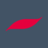 Brunswick Capital Ltd logo - Similar company to Cyf