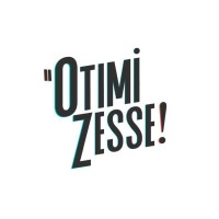 otimiZesse logo - Similar company to Analytica Visualização E Análise De Dados