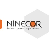 Ninecor Company logo - Similar company to Radugar,Llc
