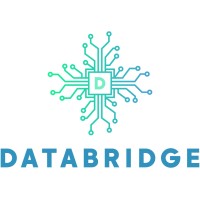 DataBridge logo - Similar company to Ywca Bethlehem