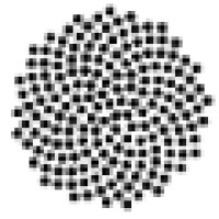 Seed Media Group
