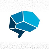 Neuroleadership Institute Pakistan (part of SouthAsia Operations) logo - Similar company to Management Cues