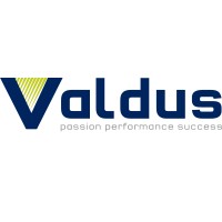 VALDUS logo - Similar company to Mobius Consulting