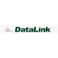 Datalink, Inc.