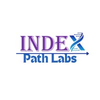Index Path Labs logo - Similar company to Sontex Enterprises