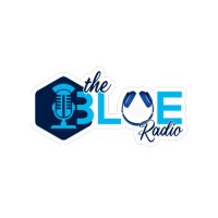 BLUE RADIO KENYA logo - Similar company to Bei Hub - Blue Economy Innovation Hub
