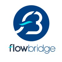 FlowBridge.it logo - Similar company to Flowbridge