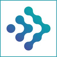 Digital Dividend logo - Similar company to Mega Vectors