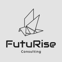 FutuRise Consulting logo - Similar company to Drift Masters