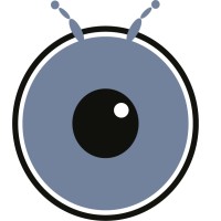 Leapvision Sl