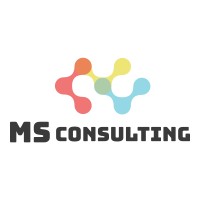 MS Consulting logo - Similar company to Tecfricano