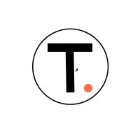 Techladder logo - Similar company to Tech Ladder
