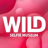 Wild Selfie Museum logo - Similar company to Museum Boga