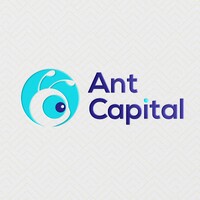 Ant Capital logo - Similar company to Mitritín • The Firm Of Strategy & Solutions