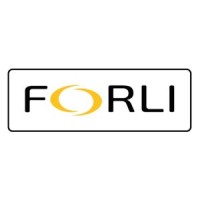 FORLI SAFETY FOOTWEAR logo - Similar company to Worko Ropa Laboral (Ficoesa, Sl)
