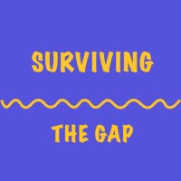 Surviving The Gap logo - Similar company to Faze Internet Limited