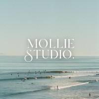 Mollie Studio logo - Similar company to Battered Black Book
