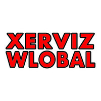 Xerviz Wlobal logo - Similar company to Endure Technology Solutions