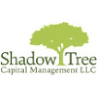 Shadow Tree Capital Management Llc