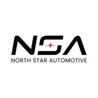 North Star Automotive logo - Similar company to Ducati Delhi