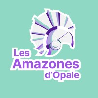 Les Amazones d'Opales logo - Similar company to Systelecoms