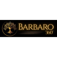 Barbaro 360 logo - Similar company to The Virtual Edge