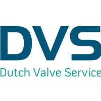 Dutch Valve Service logo - Similar company to Appendagerevisie Peene Bv