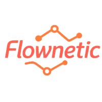 Flownetic logo - Similar company to Bk It Solutions