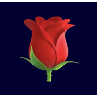 Rosebud Design logo - Similar company to Studio Brisk