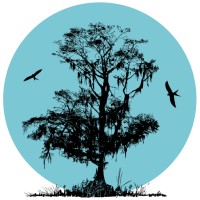 Blue Cypress Wealth Management, LLC