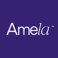 Amela logo - Similar company to Blum