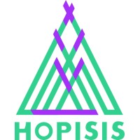 Hopisis | Gestão de Plano Cargos e Salários logo - Similar company to Rz Consultoria Em Gestão De Recursos Humanos