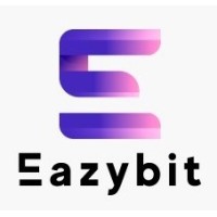 Eazybit Solution logo - Similar company to Webvib Digital