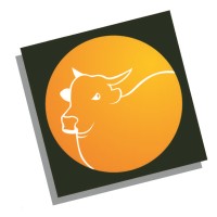 Caviuna Software logo - Similar company to Digitalsys Tecnologia