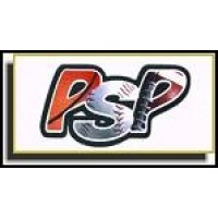 Professional Sports Planning, Inc. logo - Similar company to 2X Inc