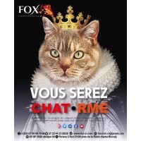 FOX COMMUNICATION Recrutement logo - Similar company to Focom
