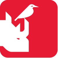 Rhinobird