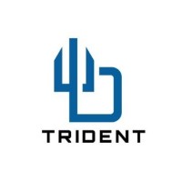 Tridentflex Technology logo - Similar company to One Belt One Road Southeast Asian Ngos Alliance (Oborseana)