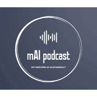 mAI podcast logo - Similar company to Ai Partners