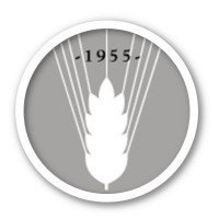 OLVI-säätiö logo - Similar company to Wild Bee Project