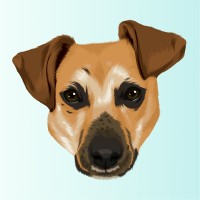 Cerro Cloud logo - Similar company to Safe Harbour Informatics Trusted Cybersecurity, Ai Automation, And Digital Transformation For Smes