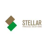 Stellar Process Solutions LLC logo - Similar company to Infinite Information Technology Llc