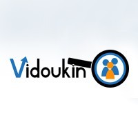 Vidoukin Group HK logo - Similar company to Vidoukin Group