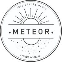 Ibis Styles Meteor logo - Similar company to Hildebrand Studios