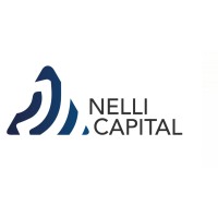 Nelli Capital S.A. de C.V. logo - Similar company to Grupo Ipb